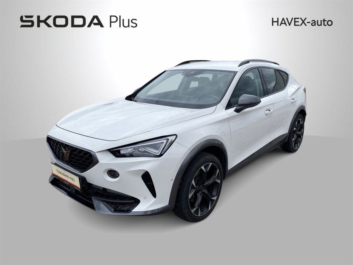 Cupra Formentor, 2,0 TSI 4x4 DSG, SUV, benzin